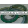 spiral wound gasket