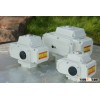 compact electrical rotary actuators