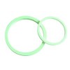 PEEK  RING GASKET