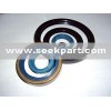 oil seal