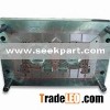 mold