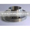 Titanium Flanges