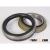 Projects Mechanical Oil Seals