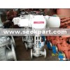 Globe Valve