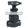 Forged Steel Gate Valve