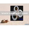 flexible graphite -stainless steel gasket (for valve )