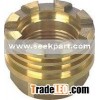 PPR brass insert