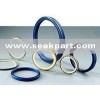 double lip oil seal