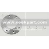 SS Blind flange (BLRF Flange)