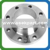 Stainless Steel Flanges