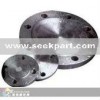 API stainless Flange