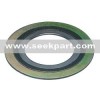 spiral wound gasket