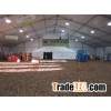 Party Hall Tent