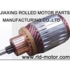 Camry armature-Jiaxing Rolled Motor Parts