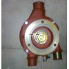 Gear Type water Pump