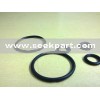 O Ring