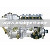 PS8500 series fuel injection pump
