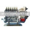 Cummins Fuel Injection Pump