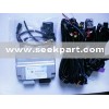 Gas ECU