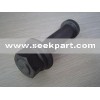 Tire bolt