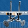 steady performance hot sale ISUZU intake valve