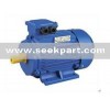 Y2 Series Three-Phase small Induction Motor