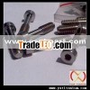 titanium OEM screw