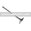 Exhaust Valve 310-375 h.p. 3969637