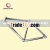 electric bike/bike frame