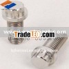 Titanium bolt for Porshce