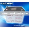 Automotive car battery