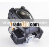 gasoline engine