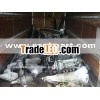 american cars engines for sale from japan