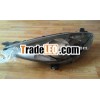 mazda 2 head lamp (M2)