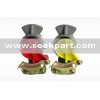 Couple Head