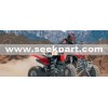 Pocket Bike