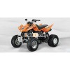 2013 Arctic Cat 300 DVX