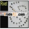 rivet