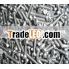 Titanium Screws