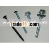 Stainless Steel Nut