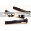Pump Screws