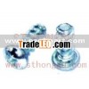 Self-tapping Screw