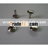 rivet
