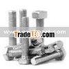 custom made all kinds nuts