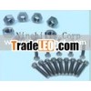 Titanium Nut