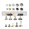 Rivet