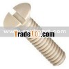 flat head PEEK plastic bolt