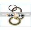 G-300 Spiral Wound Gasket