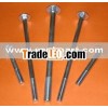 Carriage bolt