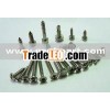 Self Drilling Screw
